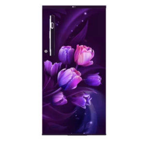 LG Refrigerator GL-B199OPTB (2024)
